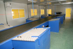 Show more details of Sorting & Picking Systems